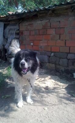 Прикачена снимка