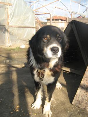 Прикачена снимка