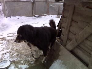 Прикачена снимка