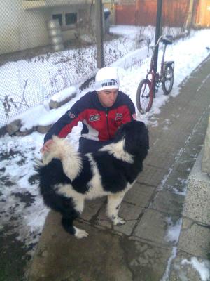 Прикачена снимка