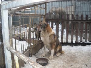 Прикачена снимка