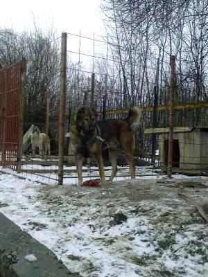 Прикачена снимка