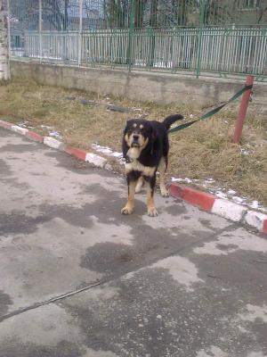 Прикачена снимка