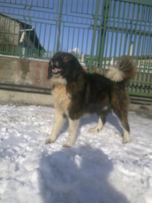 Прикачена снимка