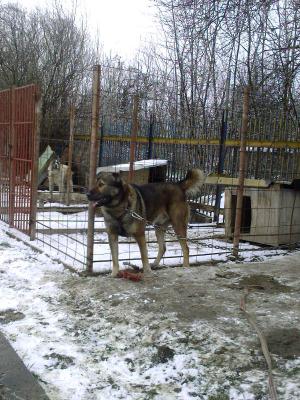 Прикачена снимка