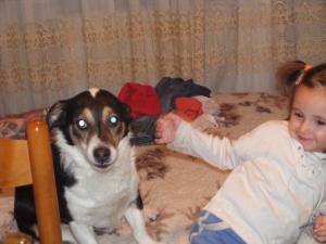 Прикачена снимка