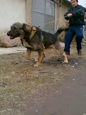 Прикачена снимка