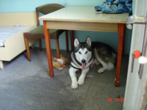 Прикачена снимка