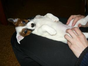 Прикачена снимка