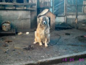 Прикачена снимка
