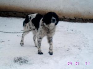 Прикачена снимка