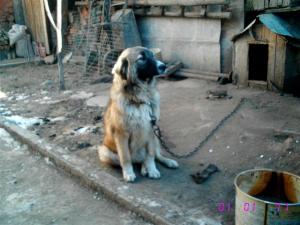 Прикачена снимка