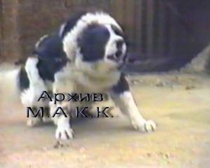 Прикачена снимка