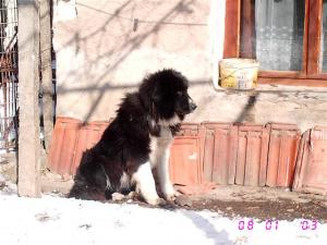 Прикачена снимка