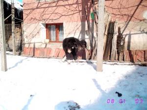 Прикачена снимка