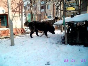 Прикачена снимка