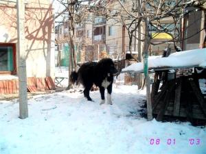 Прикачена снимка