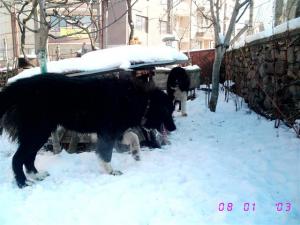 Прикачена снимка