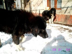 Прикачена снимка