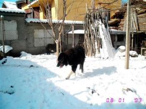 Прикачена снимка