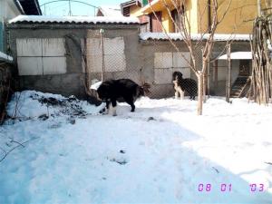 Прикачена снимка