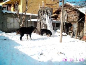 Прикачена снимка