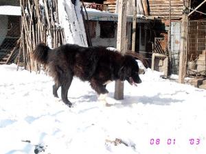 Прикачена снимка