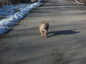 Прикачена снимка
