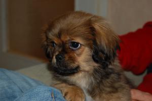 Прикачена снимка