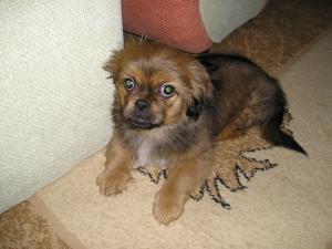 Прикачена снимка