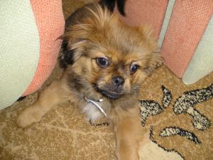 Прикачена снимка