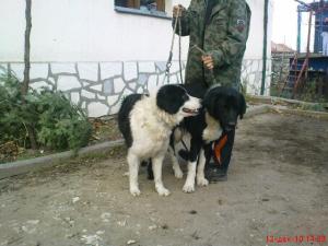 Прикачена снимка