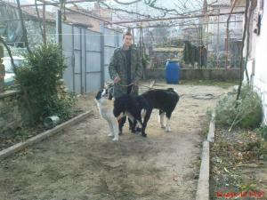 Прикачена снимка