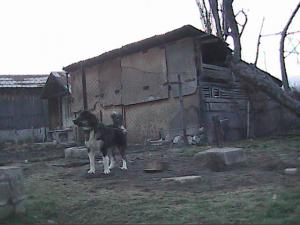 Прикачена снимка