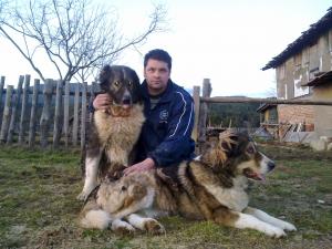 Прикачена снимка
