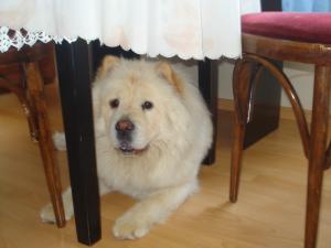 Прикачена снимка