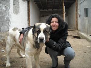Прикачена снимка