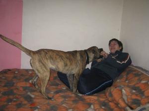 Прикачена снимка