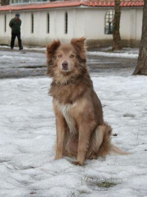 Прикачена снимка