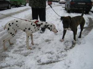 Прикачена снимка