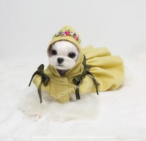 Прикачена снимка