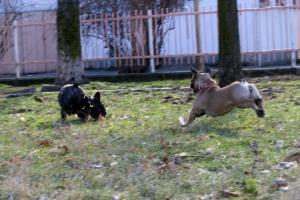 Прикачена снимка