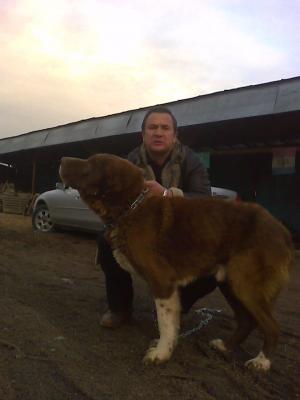 Прикачена снимка