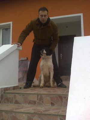 Прикачена снимка
