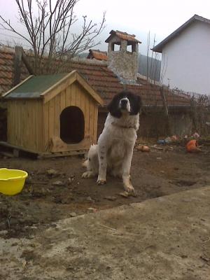 Прикачена снимка