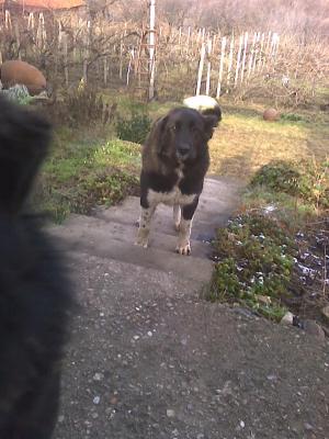Прикачена снимка
