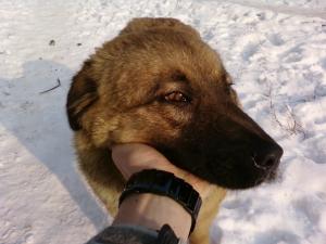 Прикачена снимка