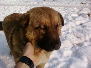 Прикачена снимка