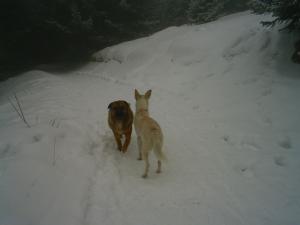 Прикачена снимка
