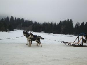 Прикачена снимка